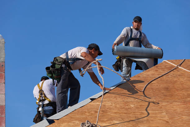 Best Roof Maintenance Services  in Malone, FL